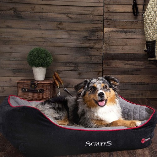 Scruffs thermal box dog bed - scruffs,