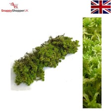Fresh Sphagnum Moss Ideal for