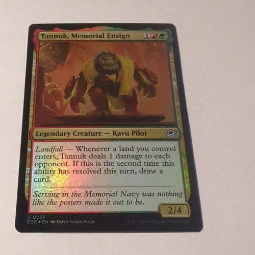 Tannuk steadfast second foil - second,
