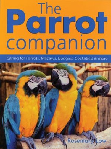 The parrot companion caring - :,