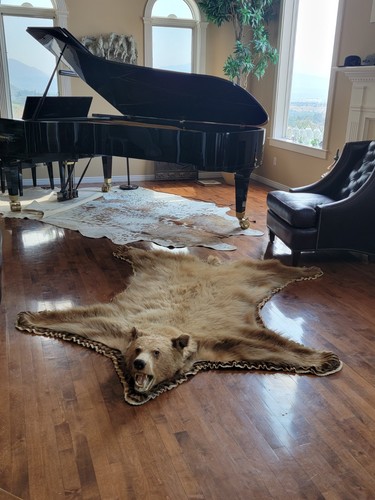 Vintage black bear - bear, bearskin