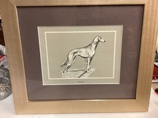J Des Clayes SALUKI 1960 framed print