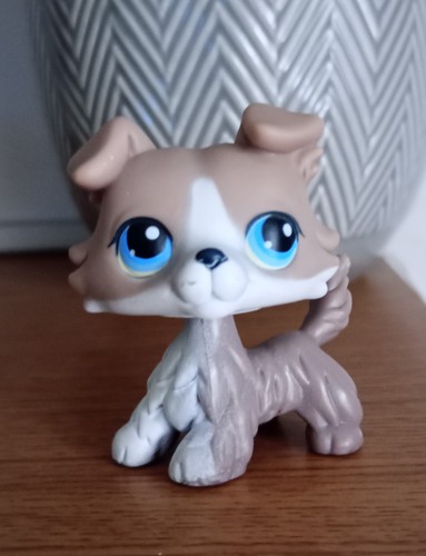 Littlest pet shop collie - shop, #67