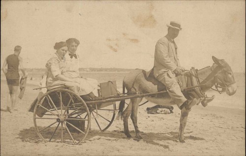 Donkey cart women and - cart,