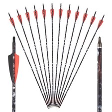Archery Carbon Arrows 30"