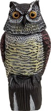Large Realistic Owl Decoy With