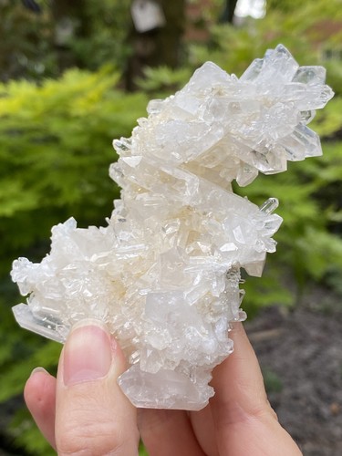 Clear quartz himalayan cluster - clear,