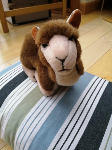 Alpaca soft toy leosco - alpaca,