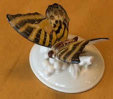 Rosenthal Butterfly