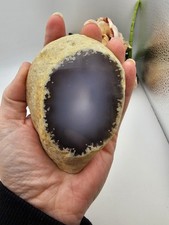 Large Polished Agate Nodule