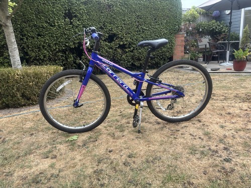 Carrera junior bike - junior, 20”
