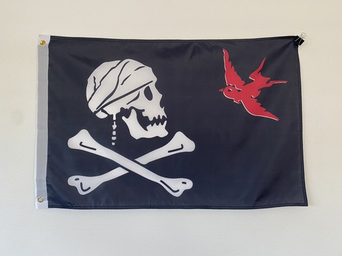 Jolly roger pirate - 2',