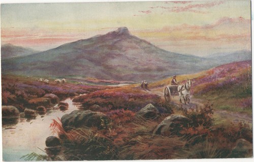 Postcard horse and cart - horse,
