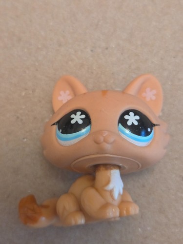 Lps 649 generation cat - lps, 2