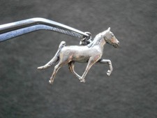 Tennessee Walking Horse