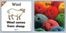 Wool Sheep - W - Atlas Editions Play & Learn Flash Card