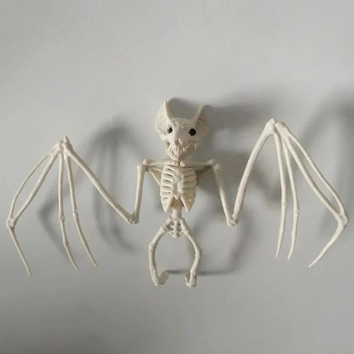 Halloween bat skeleton - halloween,