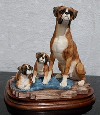Border Fine Arts Boxer and