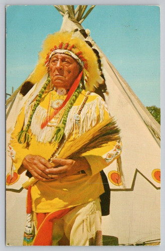 Postcard the dignity and poise - the,