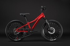 YOUTH Kids' 20" Mountain Bike