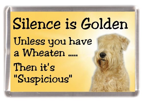 Soft coated wheaten terrier - soft,
