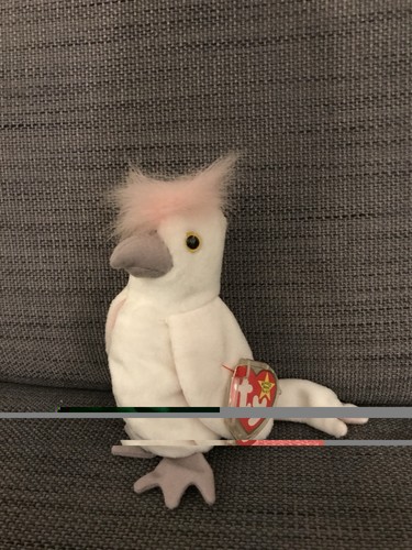 Kuku the cockatoo - cockatoo, beanie