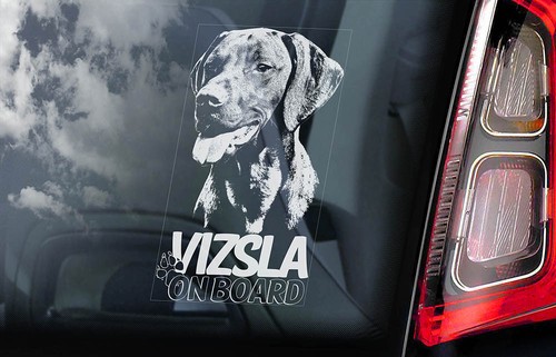 Vizsla car sticker hungarian - sticker,,