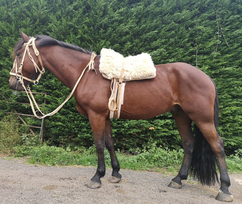 Gaucho south american saddle - gaucho, /