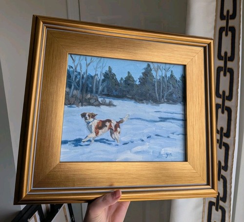 Original dog spaniel winter - dog,