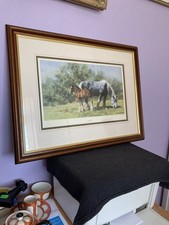 SUMMERTIME ~ DAVID SHEPHERD