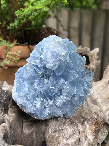 Celestite open cluster geode - open,