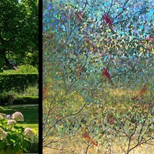 Rainbow Frosted Window Film