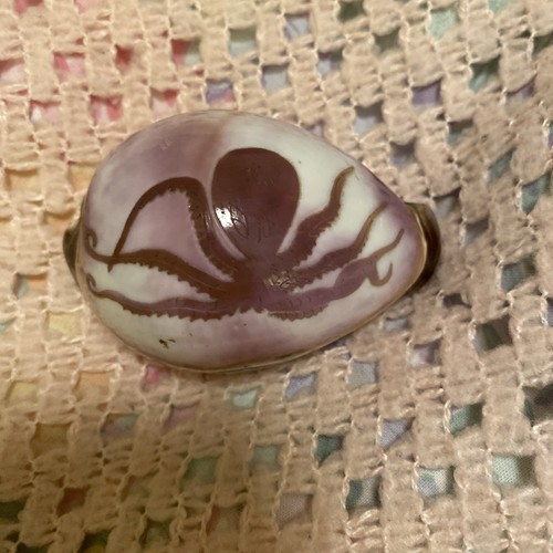 Octopus purple cowrie - octopus,