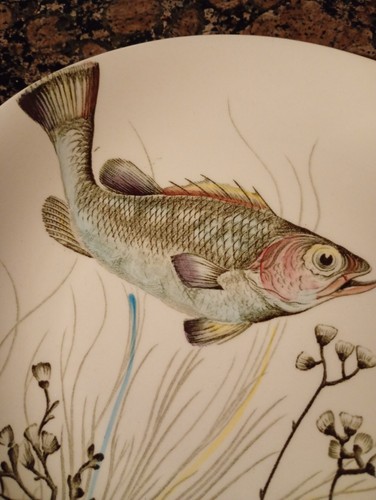Johnson brothers fish - brothers,