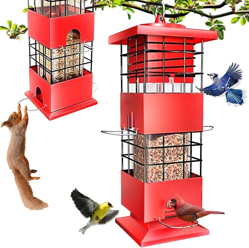 Squirrel proof bird feeder - proof,