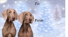 Weimaraner Christmas Labels by