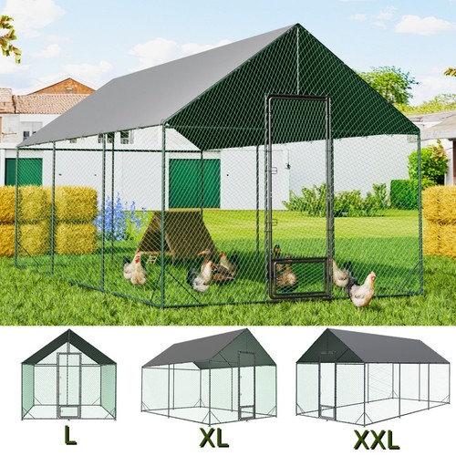 Xxl large walk chicken - xxl, xl