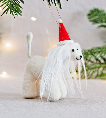 Sass belle afghan hound - &,