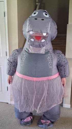 Adult hippo pink - hippo, tutu