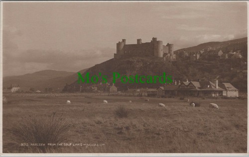 Merionethshire postcard - merionethshire,