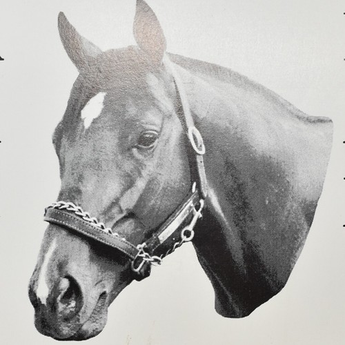 1998 victory gallop racing - victory,