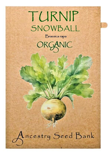 Organic turnip snowball - organic,