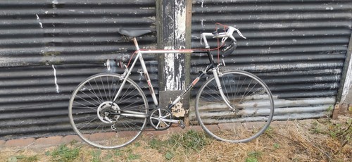 Vintage raleigh winner racing - winner,