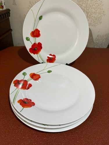 Rayware alpine poppy - 4,