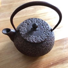 Cast Iron Tetsubin Teapot