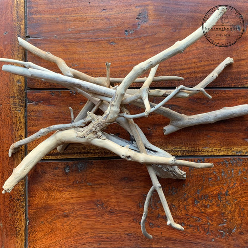 Driftwood spider like - driftwood,