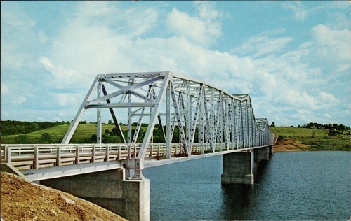 Shell knob bridge table - table, rock