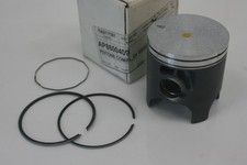 Piston With Piston Rings