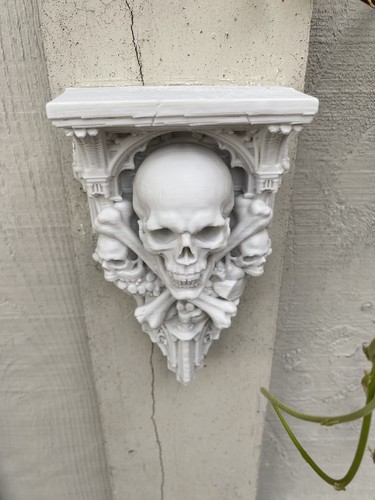 Skull shelf gothic - skull,