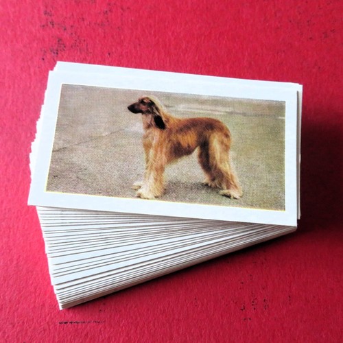 Dogs hornimans tea cards full - hornimans,